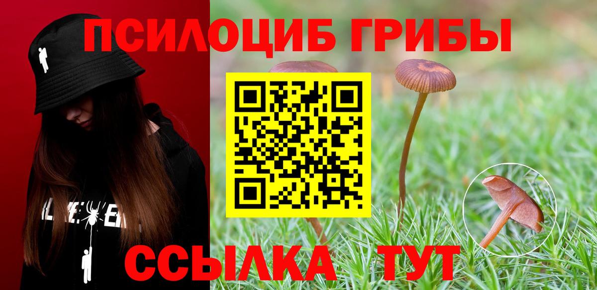 Псилоцибиновые грибы Magic Shrooms Гудермес