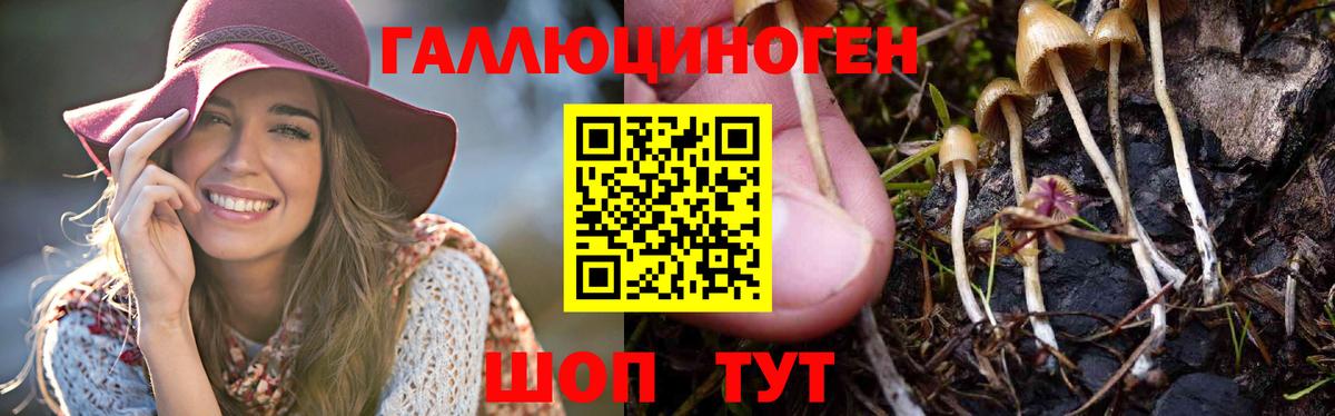 Гудермес  МЕТАДОН  Меф   Вход с VPN  Гашиш  Конопля  Кокаин 